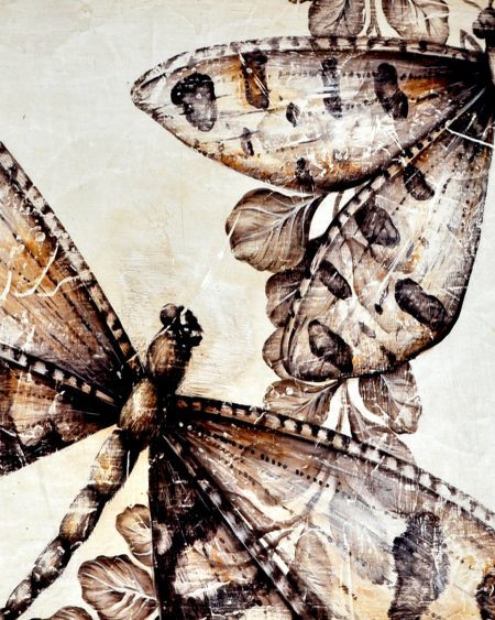 Dragonflies
