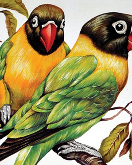 Parokeets
