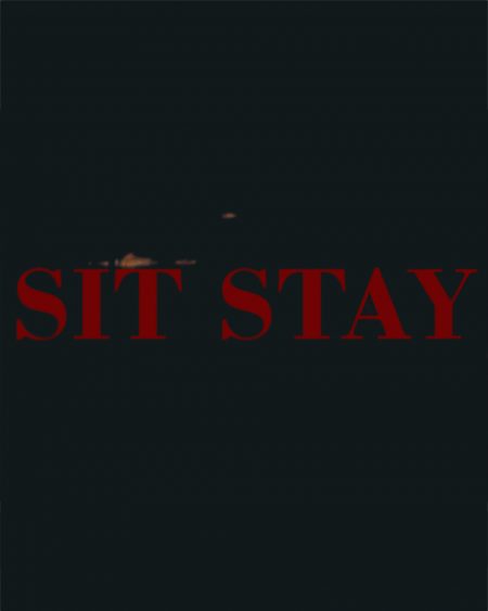 Sit & Stay Artwork