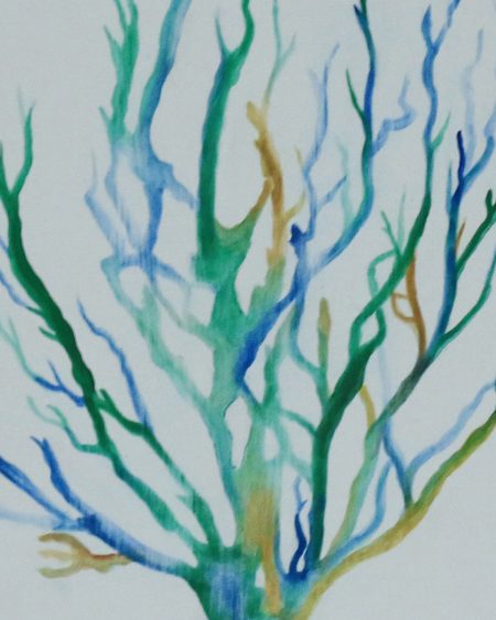 Colorful Coral
