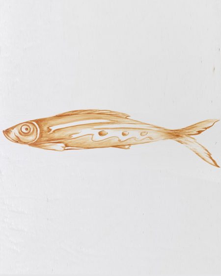Fresh Fish