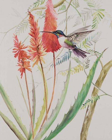 Floral Hummingbird