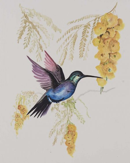 Hummingbird w/ Fruit