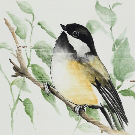 Chickadee